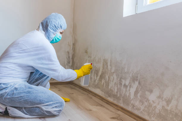 Crawl Space Mold Removal in East Palo Alto, CA