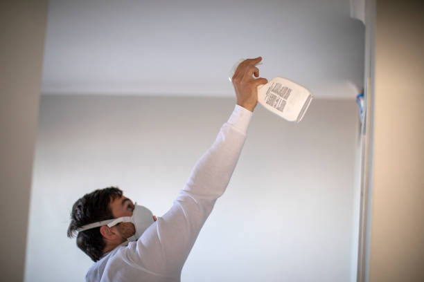 Mold Testing and Removal in East Palo Alto, CA