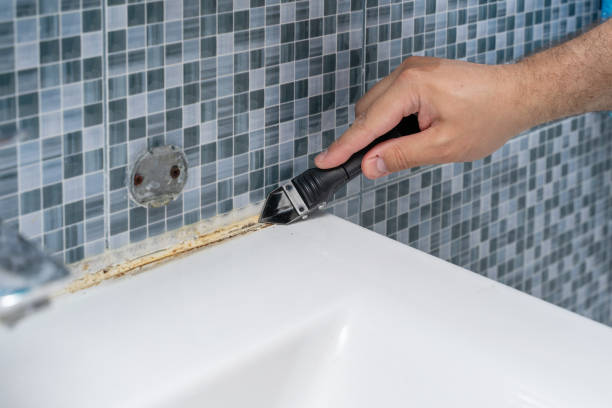 Professional Mold Removal in East Palo Alto, CA
